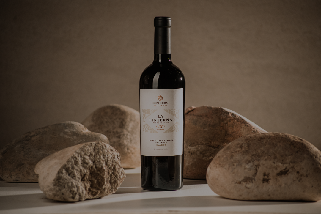 Cata técnica de los vinos de parcela