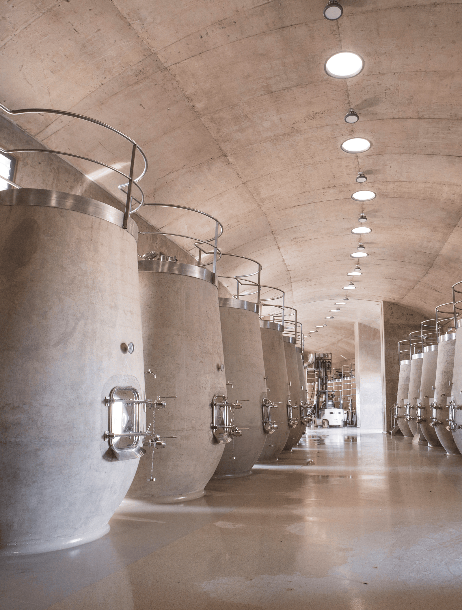 Piletas de concreto en la nave de fermentación